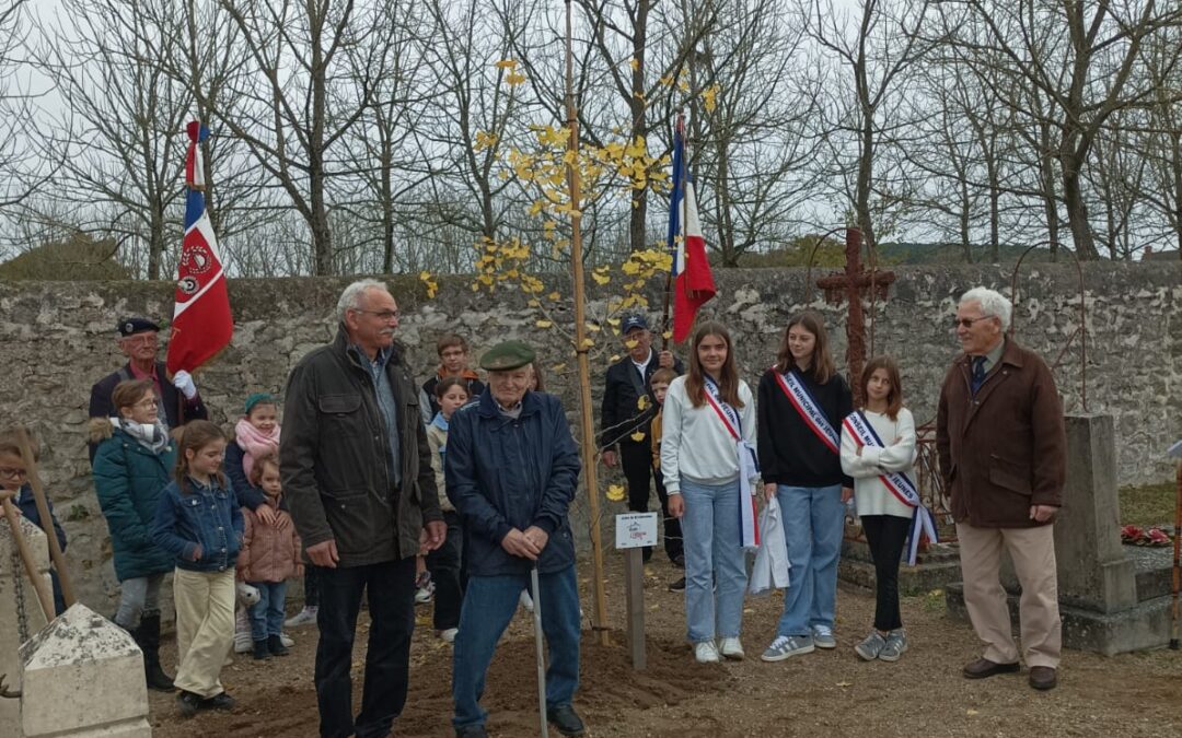 Plantation de l’Arbre de la Liberté